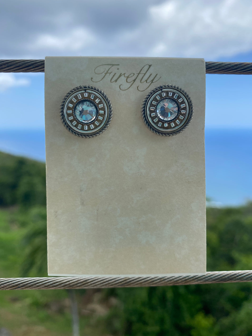 Firefly - La Dolce Vita Round Earrings (Silver)